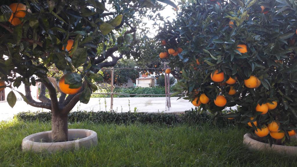 טרפאני Appartamento Via Vulcano מראה חיצוני תמונה