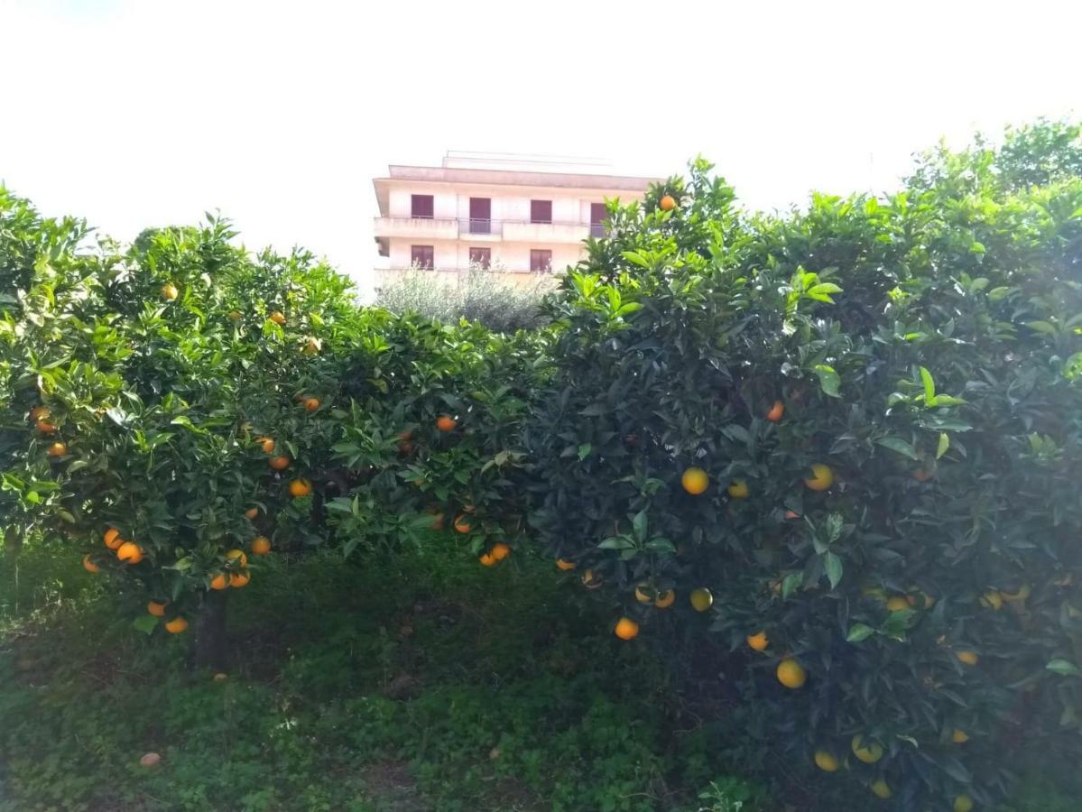 טרפאני Appartamento Via Vulcano מראה חיצוני תמונה